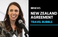 New Zealand offers travel bubble with Australia if coronavirus cases stay low | ABC News