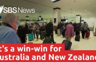 The Australia-New Zealand travel bubble has officially opened I SBS News